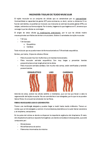 INGTISULARMUSCULAR.pdf