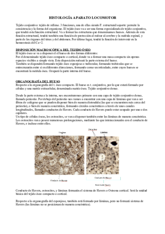 histología locomotor.pdf