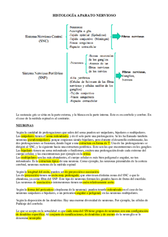 histología nervioso.pdf