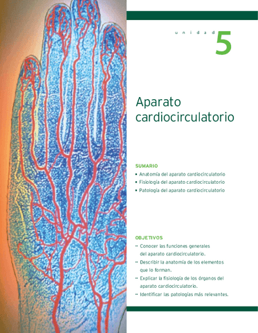 TEMA-5.pdf