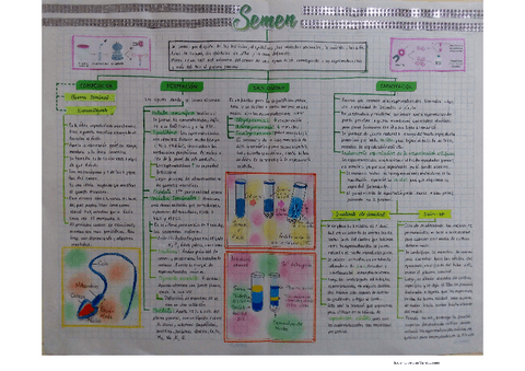 Semen.pdf