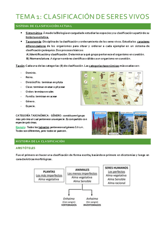 TEMARIO-BOTANICA.pdf