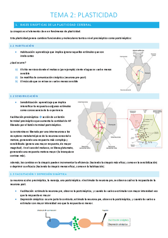 T.2-Plasticidad.pdf