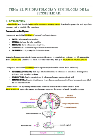 TEMA-12-PMQ-II.pdf