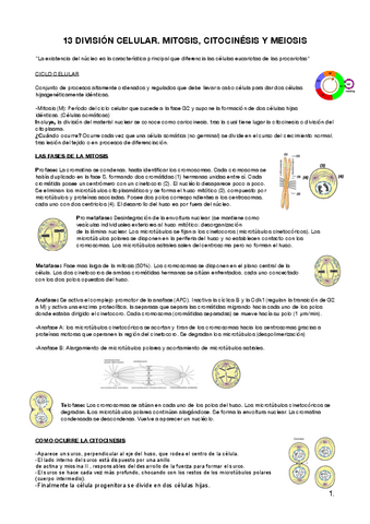 Tema-13.pdf