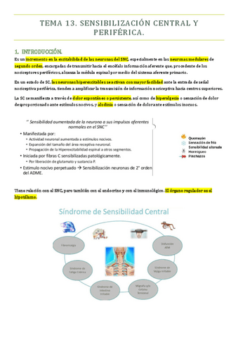 TEMA-13-PMQ-II.pdf