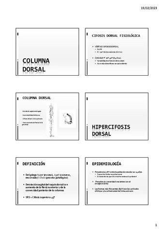 5.-COLUMNA-DORSAL-Y-LUMBAR.pdf