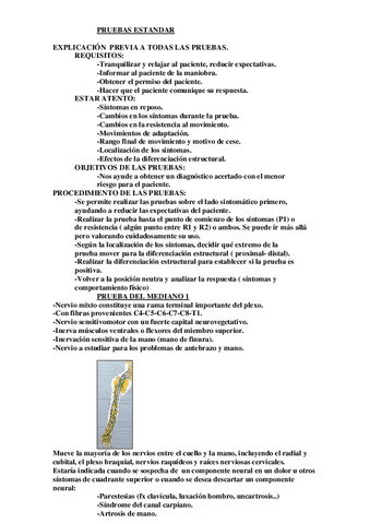 PRUEBASLECCIONIV.pdf