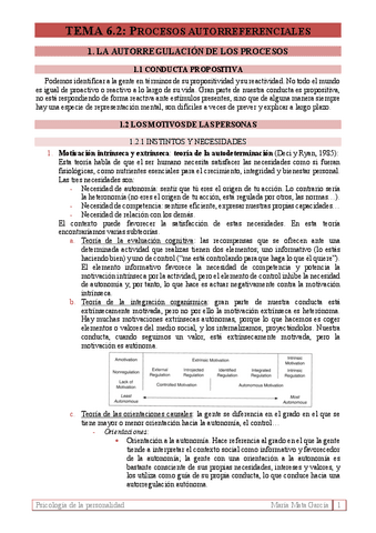 Tema 6.2 Procesos autorreferenciales (P).pdf
