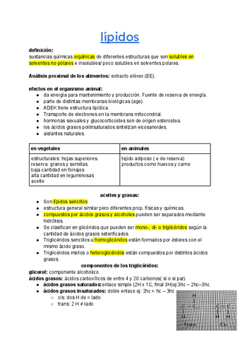 lipidos.pdf