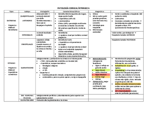 Patologia-CORNEA.pdf