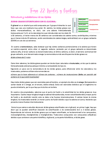 Tema-22.pdf