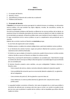 Todo Teoria del Derecho.pdf