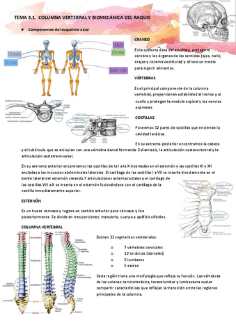 TEMA-3.1.-Columna-vertebral-y-biomecanica-del-raquis.pdf