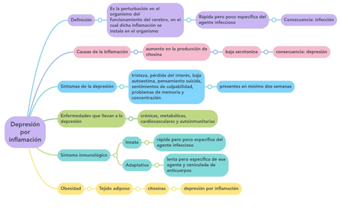 Esquema-de-depresion-por-inflamacion.jpg