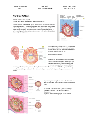 Tema 13 - Embriología.pdf