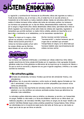 sistema-endocrino.pdf