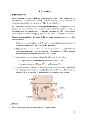 4.-Bocio-simple.pdf