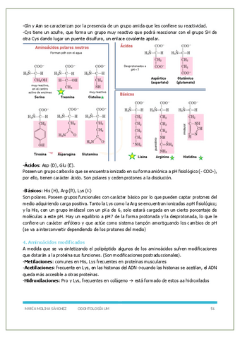 P2- Bioquimica-y-biologia-molecular.pdf