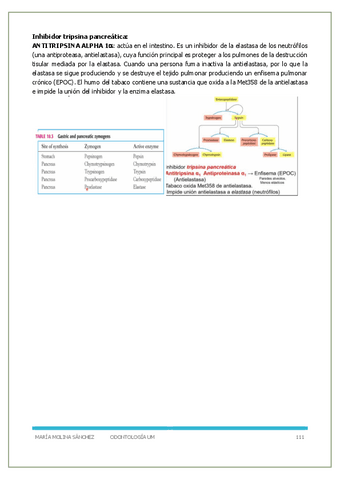 P3- Bioquimica-y-biologia-molecular.pdf