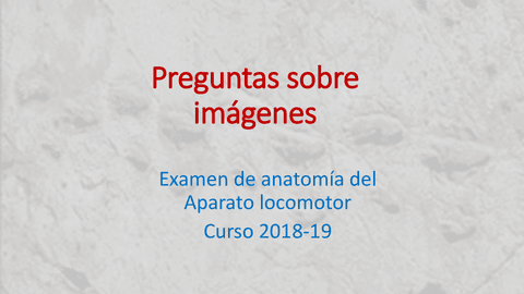 00.-EXAMEN-imagnes-2019.pdf