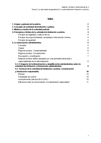 Resumen-T2-GJA-II.pdf