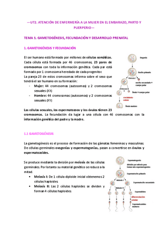 UT2.-OBSTETRICIA-EMBARAZO-PARTO-Y-PUERPERIO.pdf