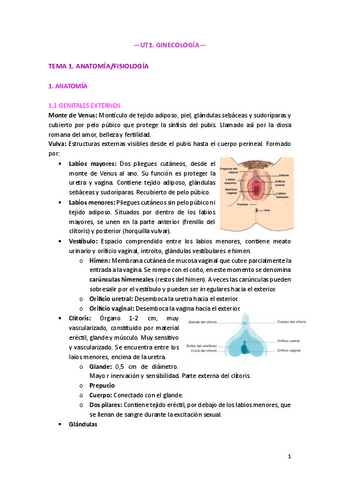 UT1.-GINECOLOGIA.pdf