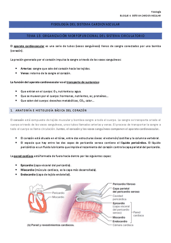 Fisiologia-13-14-y-15-B4.pdf