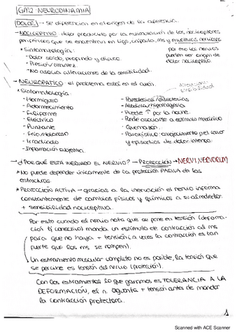 GM2-neurodinamia-ciatico.pdf
