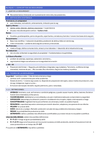 seguridad - tema 1, 2 y 3.pdf