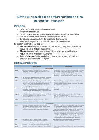 TEMA-5.2-MInerales.pdf