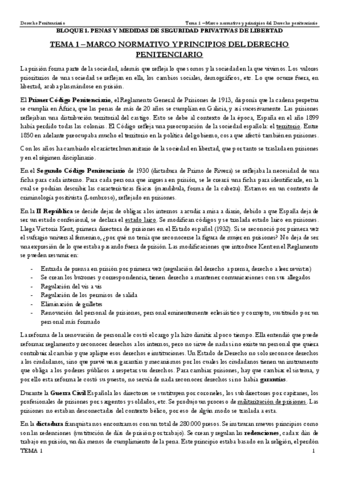 TEMA-1-Marco-normativo-y-principios-del-Derecho-penitenciario.pdf