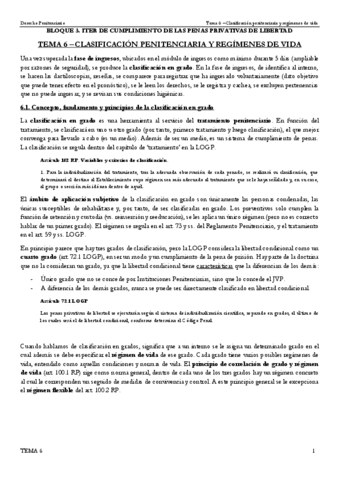 TEMA-6-Clasificacion-penitenciaria-y-regimenes-de-vida.pdf