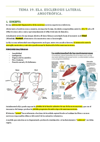 TEMA-19-PMQ-II.pdf