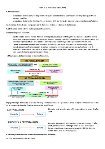 TEMA-6.pdf