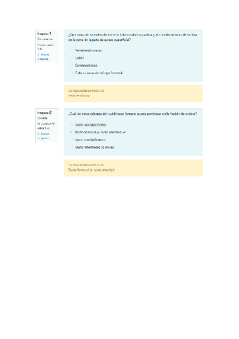 Solucion-Minitest-Musculos-de-la-cadera-y-del-muslo.pdf