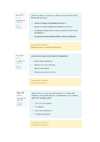 Solucion-Minitest-Musculos-Torax-Abdomen-y-cuello-anterior.pdf