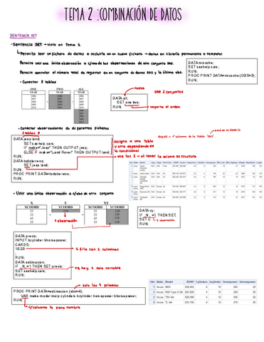 SAS-Tema-2.pdf