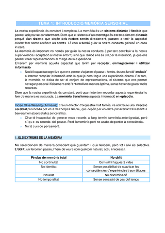 PARCIAL-1-MEMORIA-TEMA-1-4.pdf