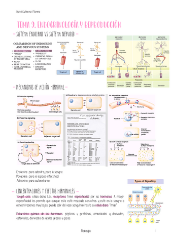 TEMA-9-PARTE-1-FISIOLOGIA.pdf