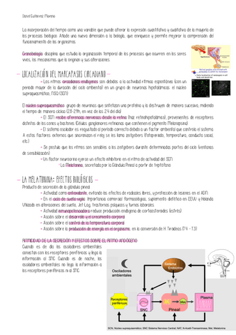 TEMA-9-PARTE-3-FISIOLOGIA.pdf