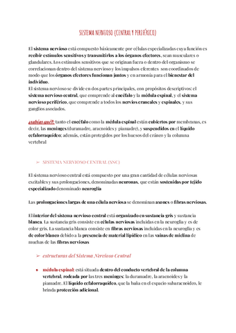 Sistema-Nervioso.pdf