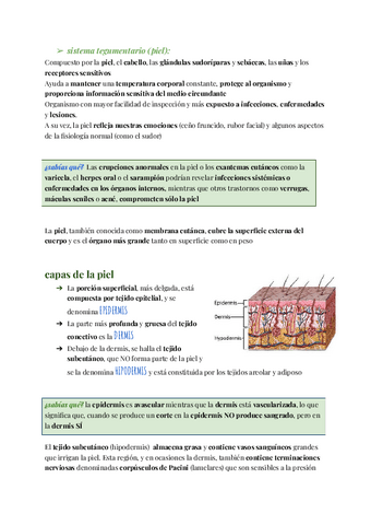 Sistema-Tegumentario.pdf