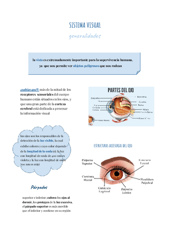 Sistema-Visual.pdf