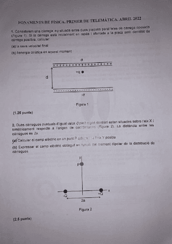 P1.pdf