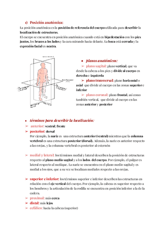 Posicion-Anatomica-y-Sistema-Esqueletico.pdf