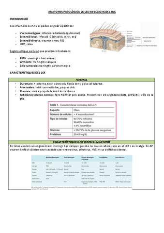 ANATOMIA-PATOLOGICA-DE-LES-INFECCIONS-DEL-SNC.pdf