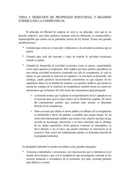 tema 5 corregido.pdf