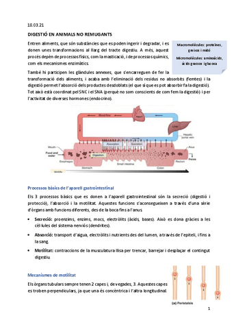 Apunts-digestio-no-remugants.pdf